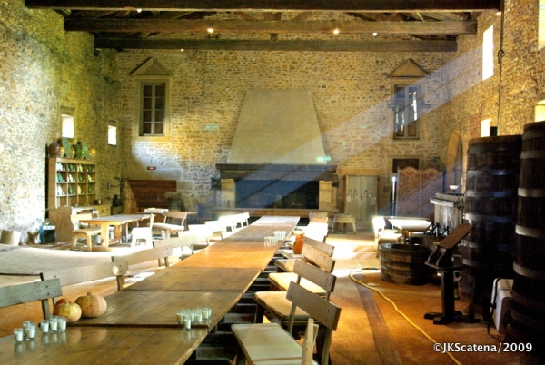 Um dos salões do Chateau de Bagnols.